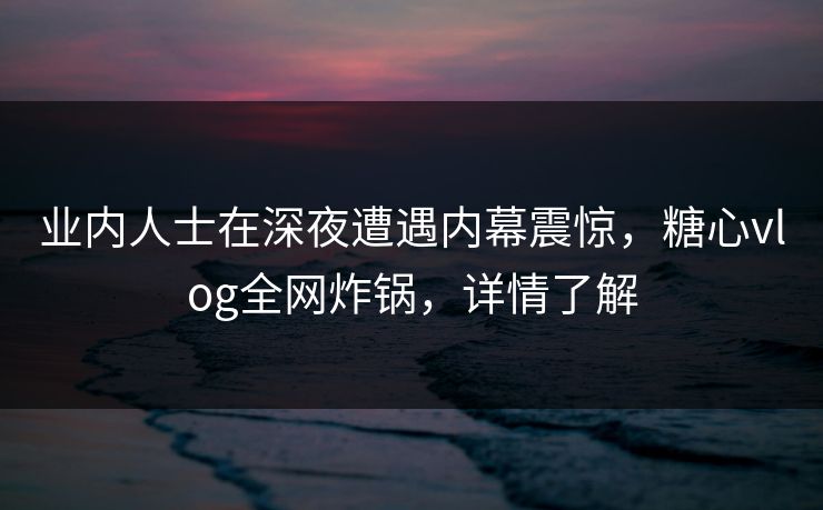 业内人士在深夜遭遇内幕震惊，糖心vlog全网炸锅，详情了解