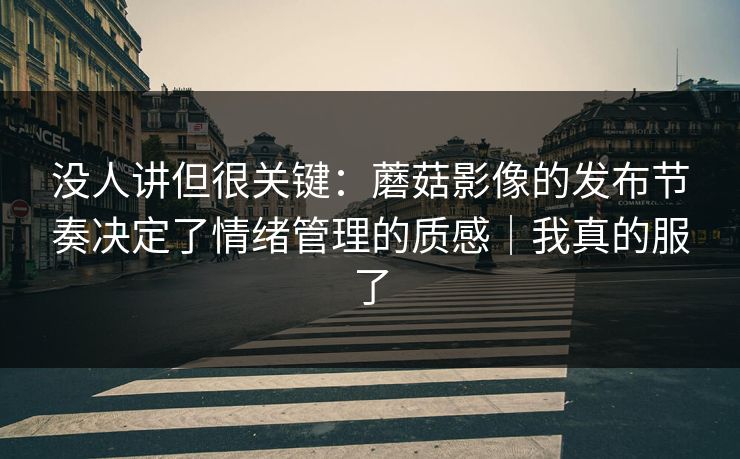 没人讲但很关键：蘑菇影像的发布节奏决定了情绪管理的质感｜我真的服了